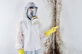 Mold Odor Removal Services in Fallsburg, NY